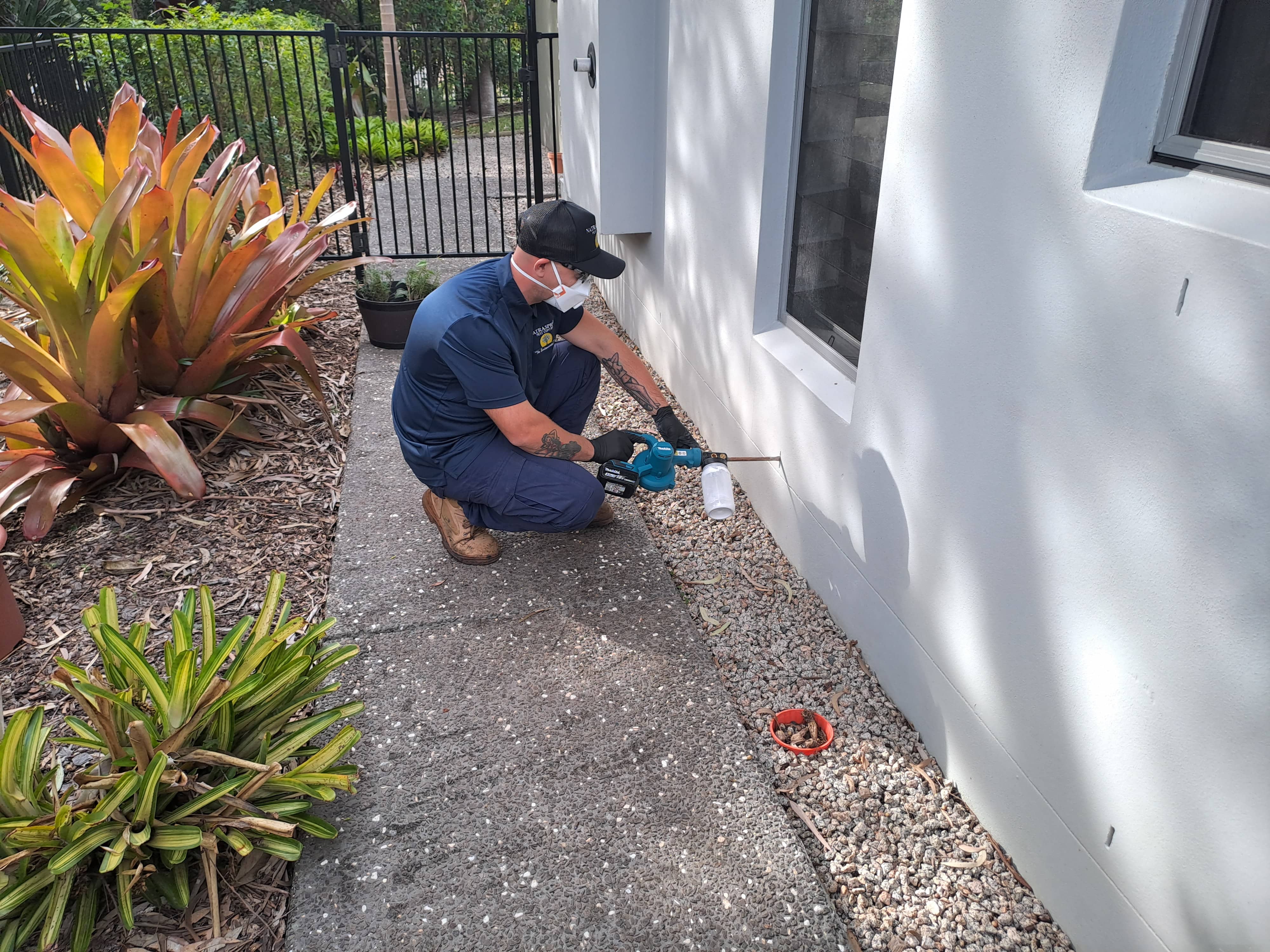 Weep Hole Treatment for Termite Prevention